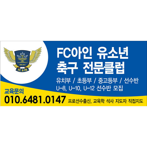 FC아인유소년축구 전문클럽